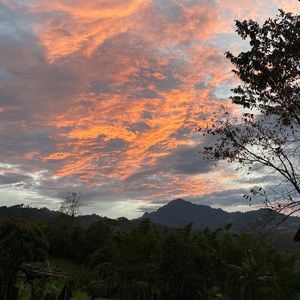 Meet your Posher, Isabella